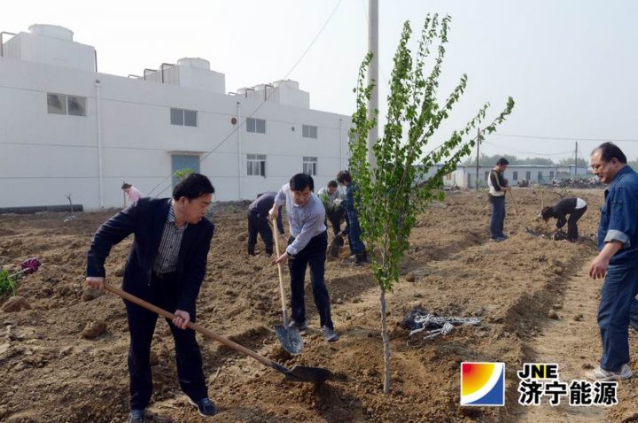 安居煤矿组织义务劳动为矿区绿化做功课