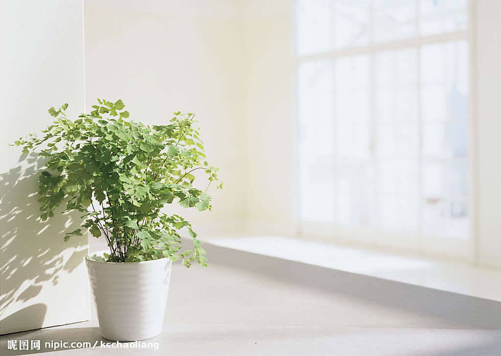 绿色心情（鹿洼煤矿 张春刚）