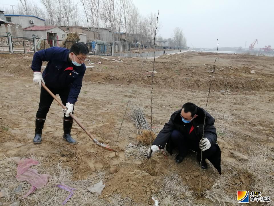 1583219550599365.jpg 3为花椒树培土.jpg