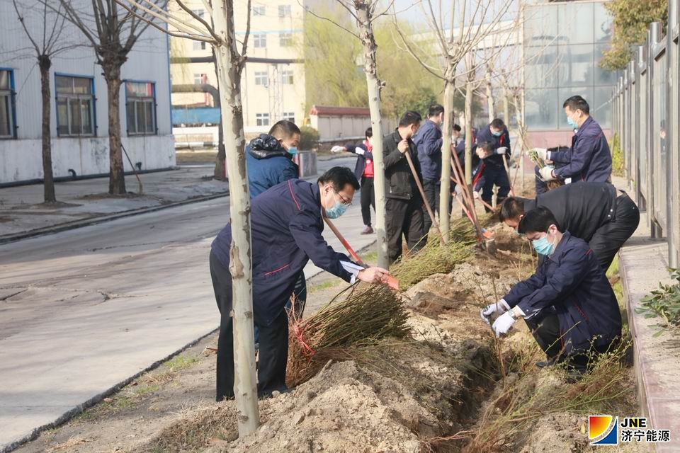 2020年3月12日，战疫情 添新绿 阳城煤电开展植树活动.jpg