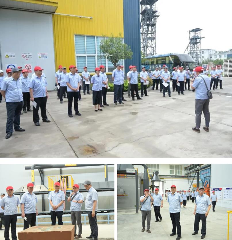 1626742738384504.jpg 1626742738384504.jpg