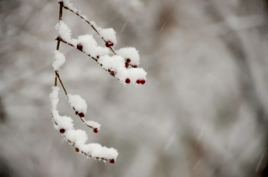 2022年的第一场雪
