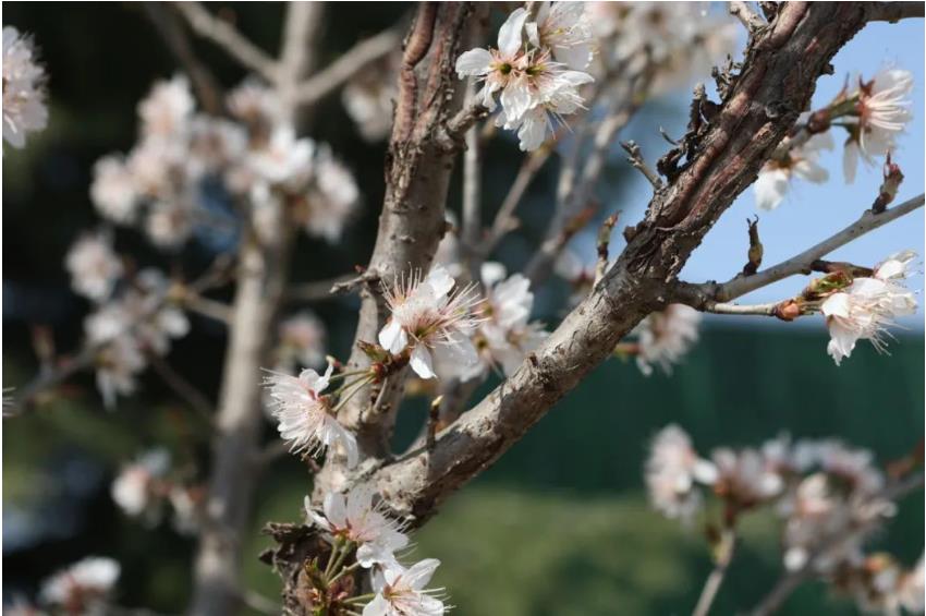 1681003735310267.jpg 微信截图_20230409092551.jpg