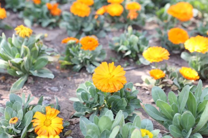 1681003742554791.jpg 微信截图_20230409092606.jpg