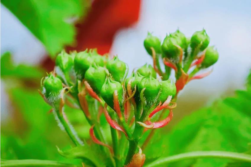 1681386563717337.jpg 微信截图_20230413194538.jpg