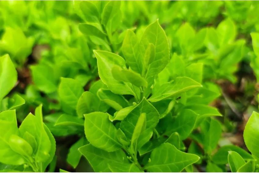 1681386573293597.jpg 微信截图_20230413194552.jpg