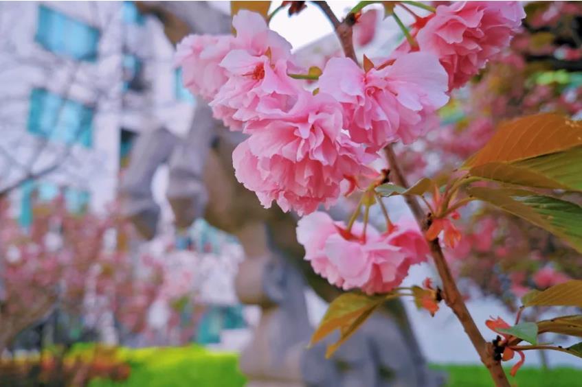 1681386584724035.jpg 微信截图_20230413194609.jpg