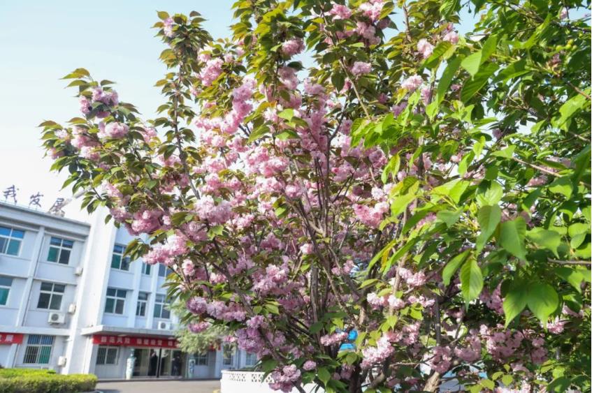 1681470337984600.jpg 微信截图_20230414190239.jpg