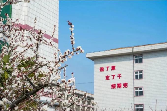 1681520870968045.jpg 微信截图_20230415090643.jpg