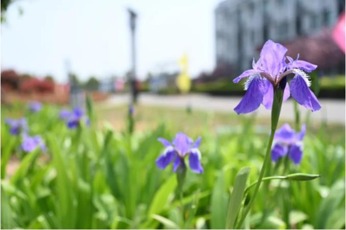 1681862431389104.jpg 微信截图_20230419075810.jpg