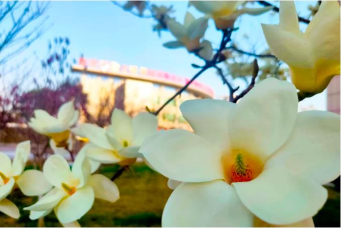 1681948679933185.jpg 微信截图_20230420075638.jpg