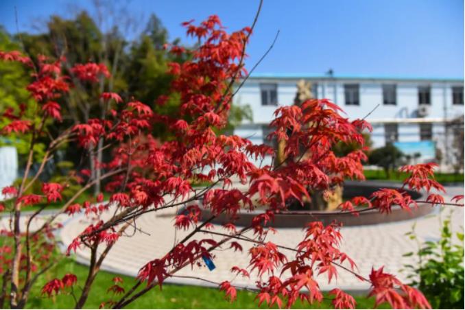 1682037554140581.jpg 微信截图_20230421083656.jpg