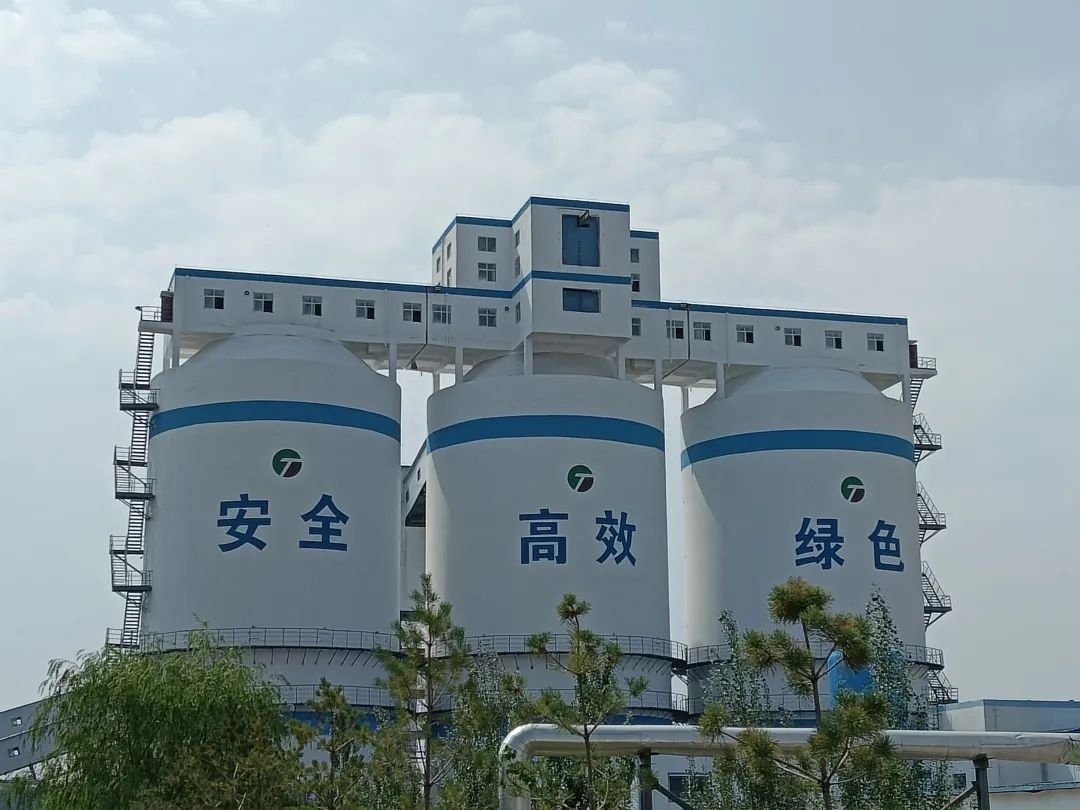 1702689139601756.jpg 1702689165184.jpg