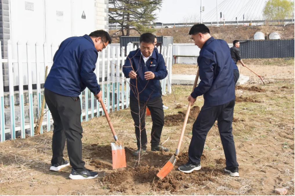 1712478192107390.png 1712478164429.png