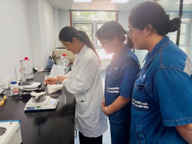 济州粮食产业园夏粮颗粒归仓，损耗同比降30%