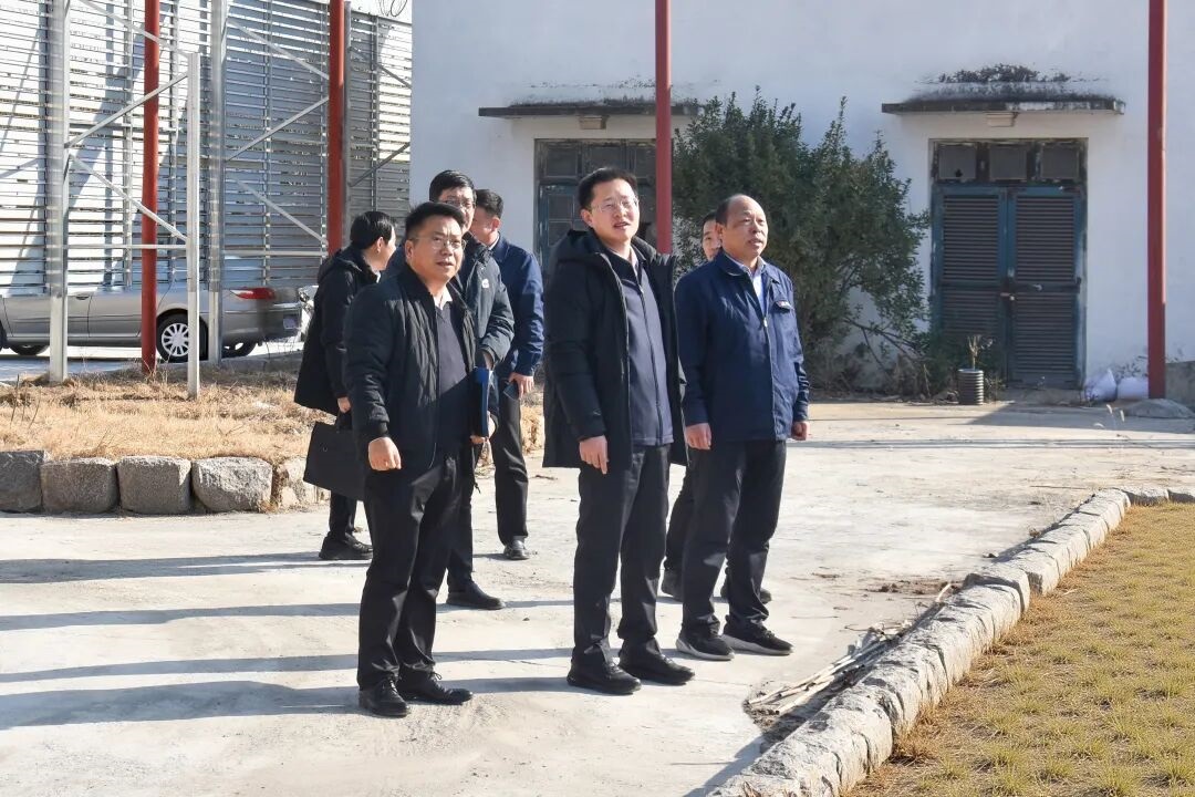 1768020929241322.jpg 01.jpg